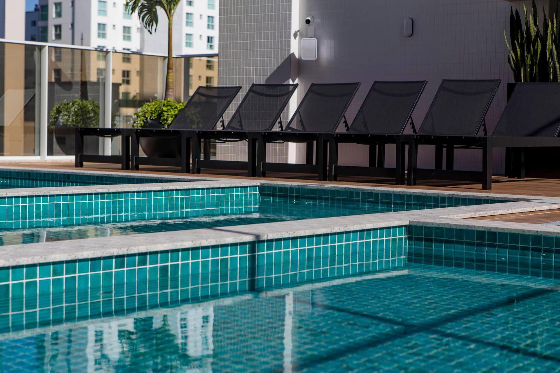 Exuberance — imagem 6