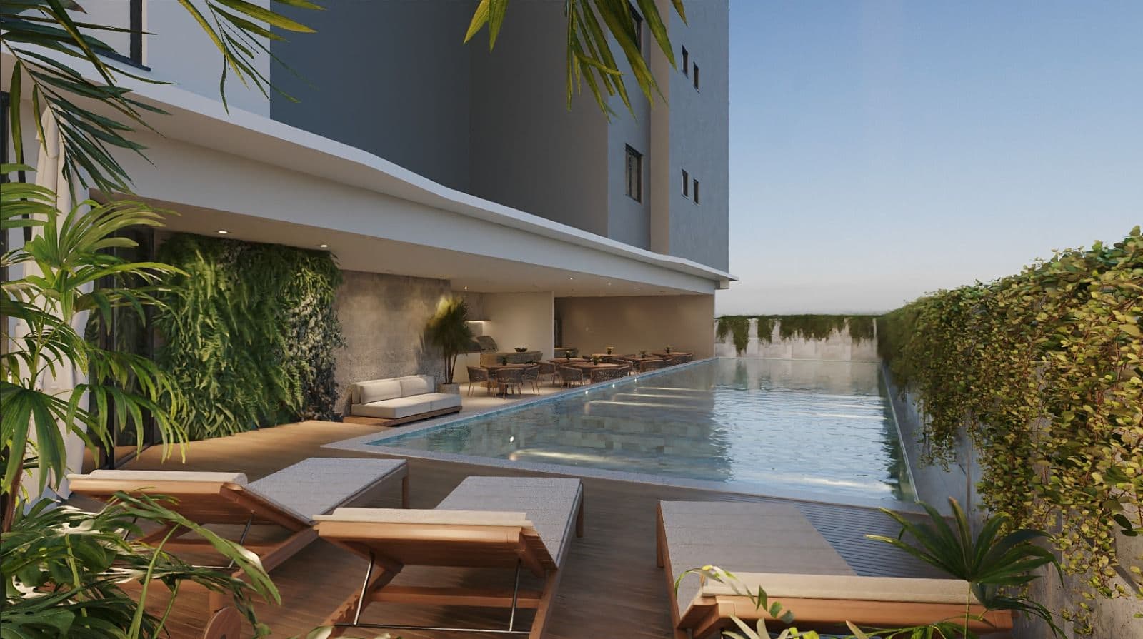 Cattleya — imagem 4